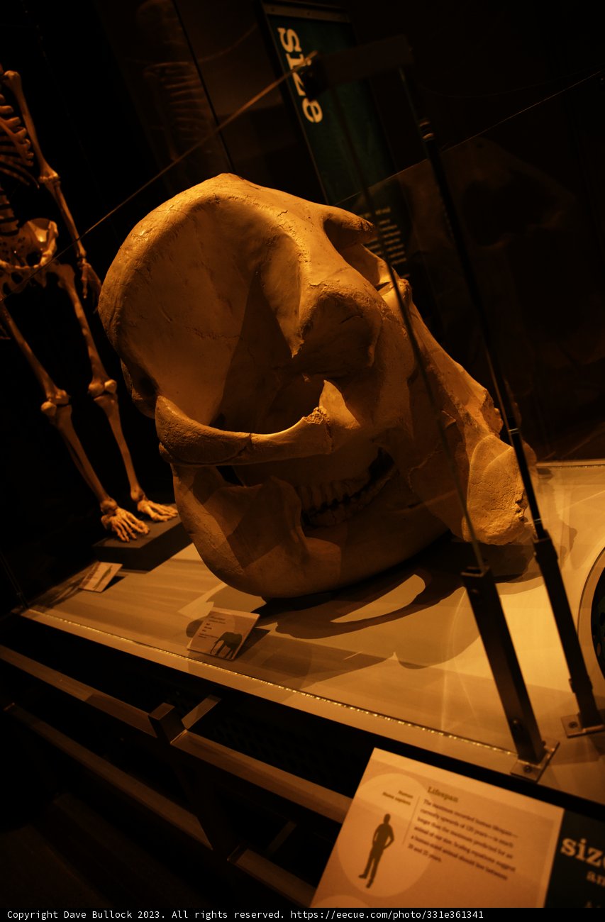 A Mysterious Encounter at the Museum