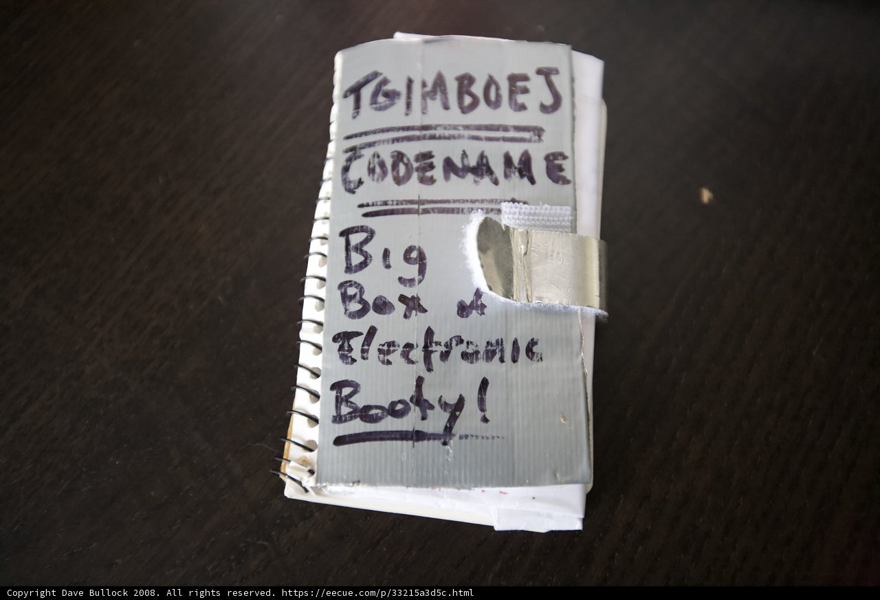 Technabes - An Electronic Body of Art