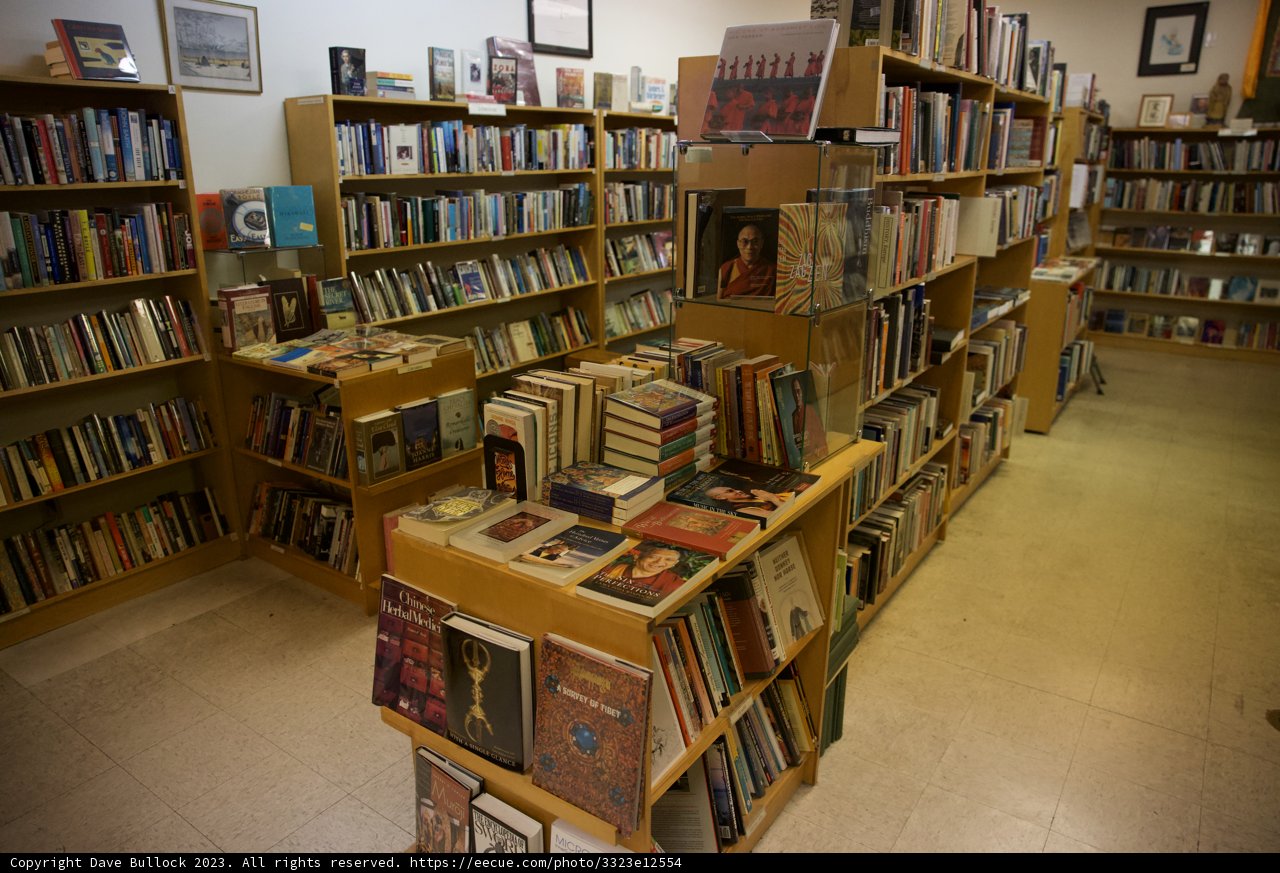 Literary Haven in Japan Town, 2023