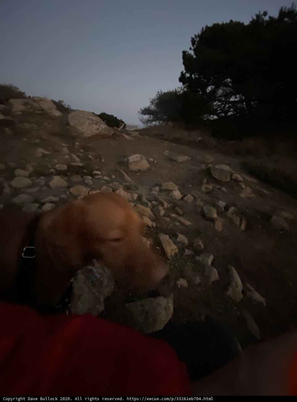Into the Wild