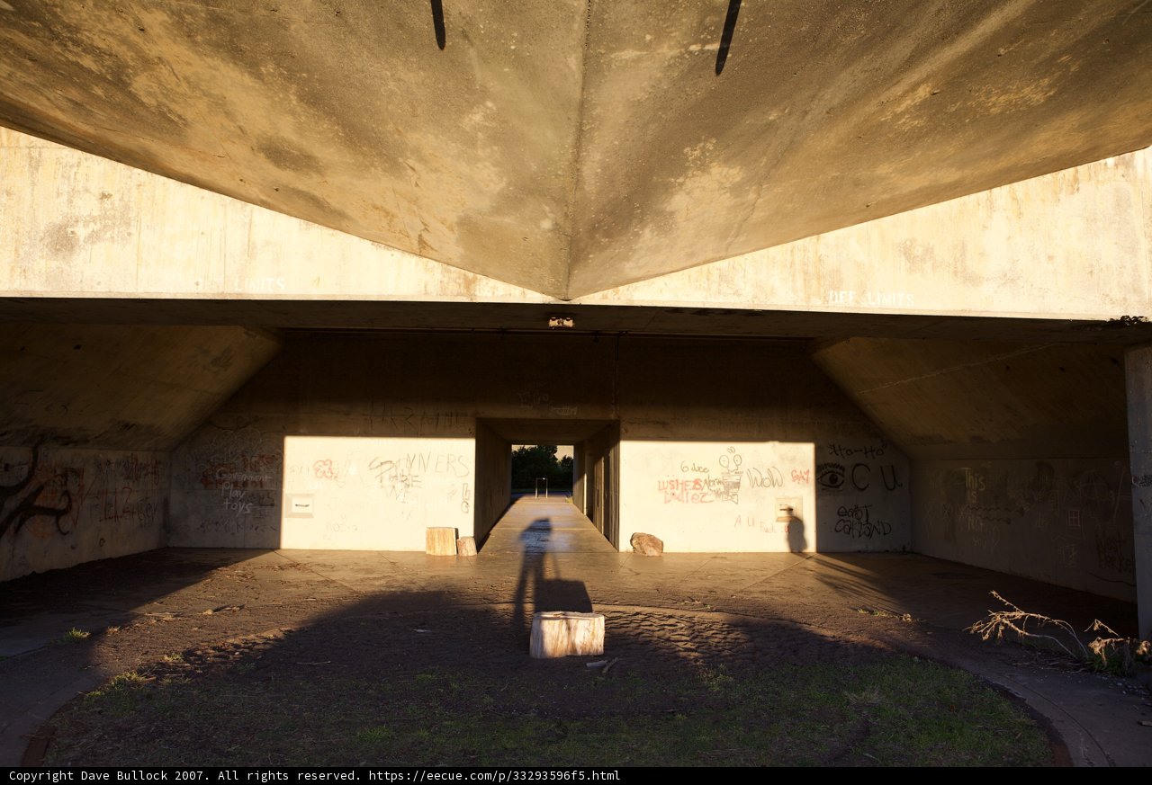 Tunnel of Graffiti
