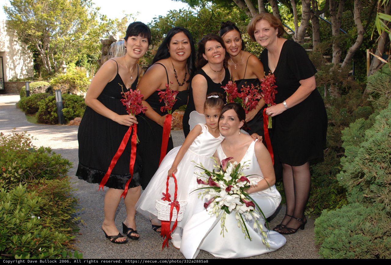 Bride and Bridesmaids Celebrate in Garden Setting