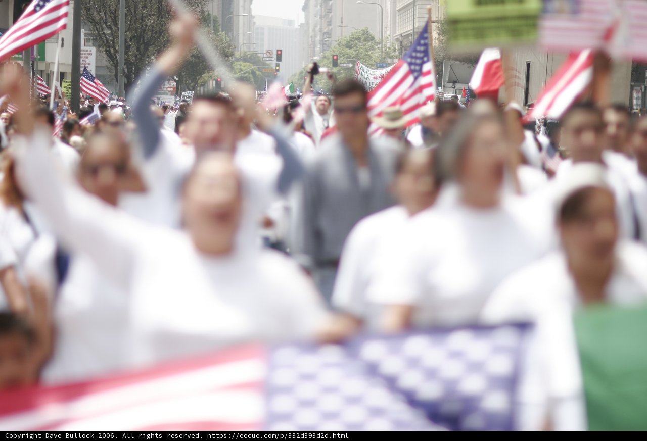 Showing Their Patriotism