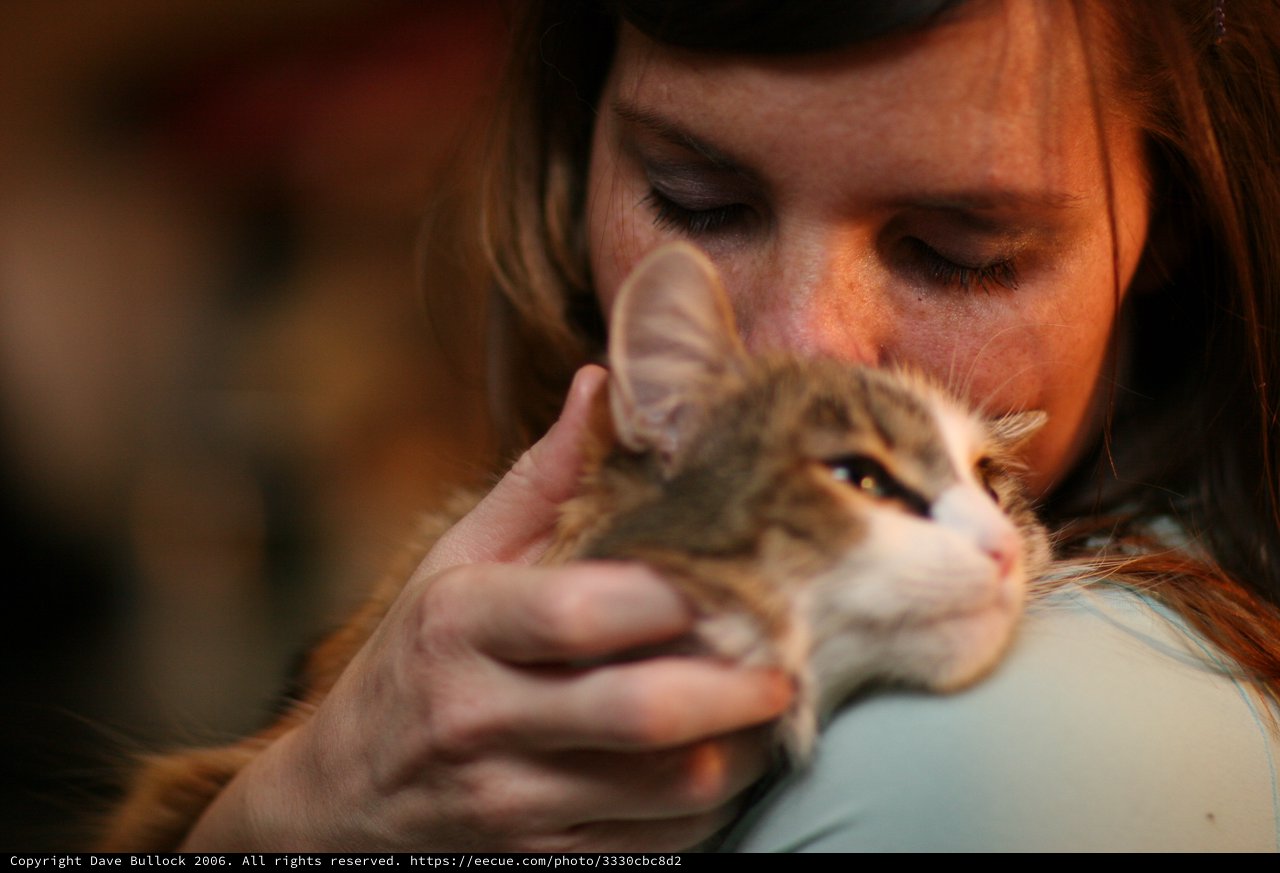 Tender Moment: Woman Nuzzles Fluffy Kitten Close
