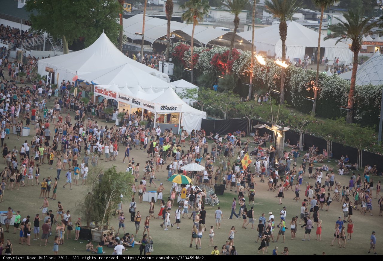 Festival Fever