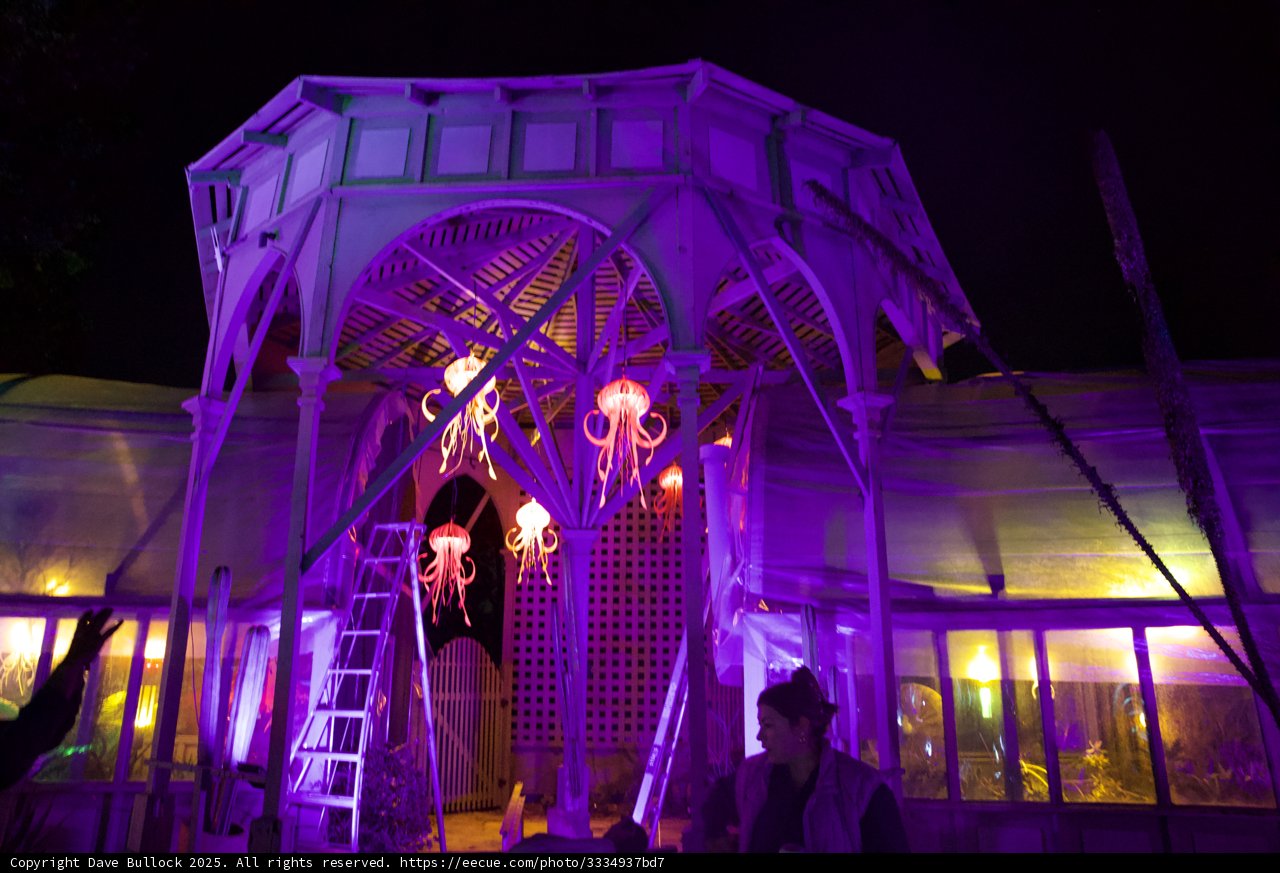 Enchanted Luminescence at Ruth Bancroft Garden