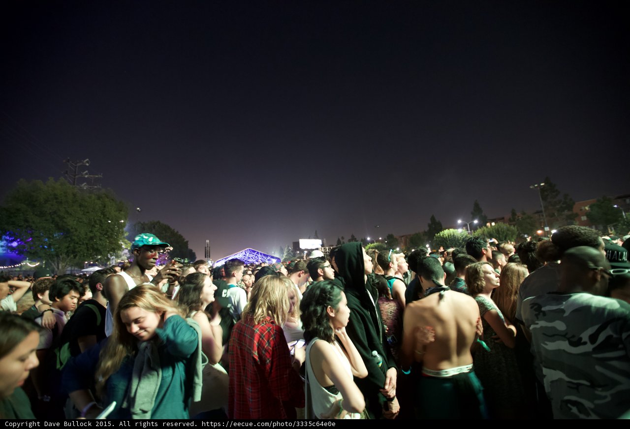 Diverse Festival Crowd