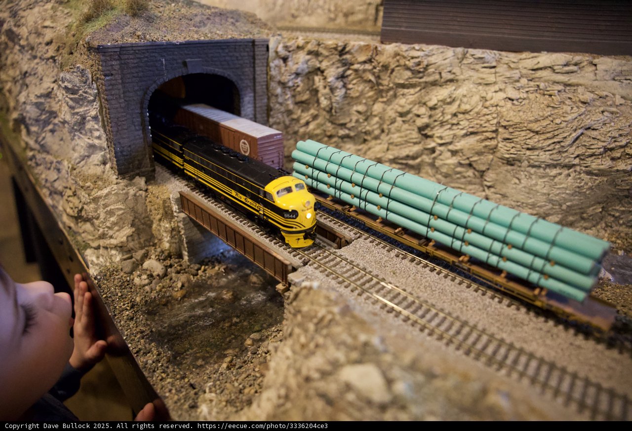 **Miniature Marvels of the Rail**