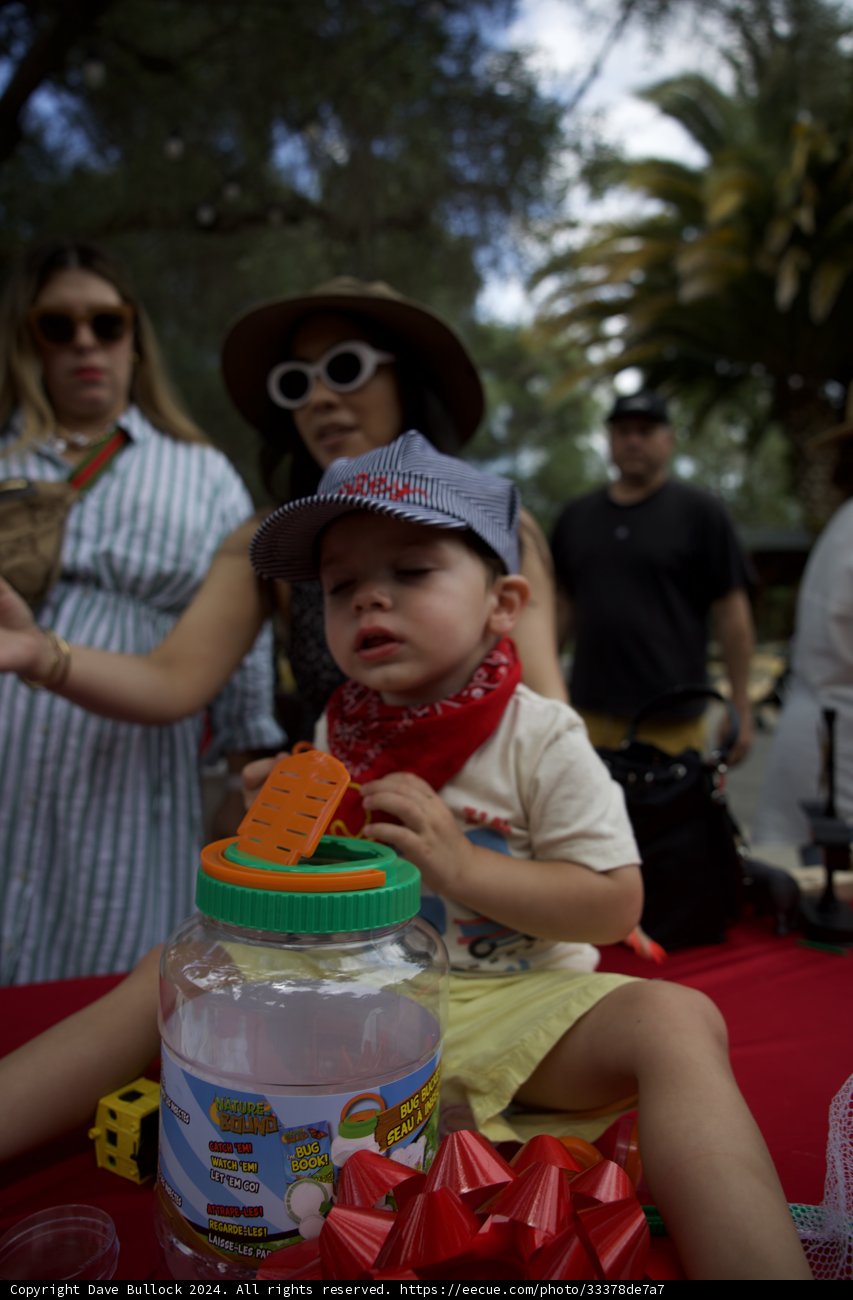 Wesley's Adventure-Filled Birthday Bash