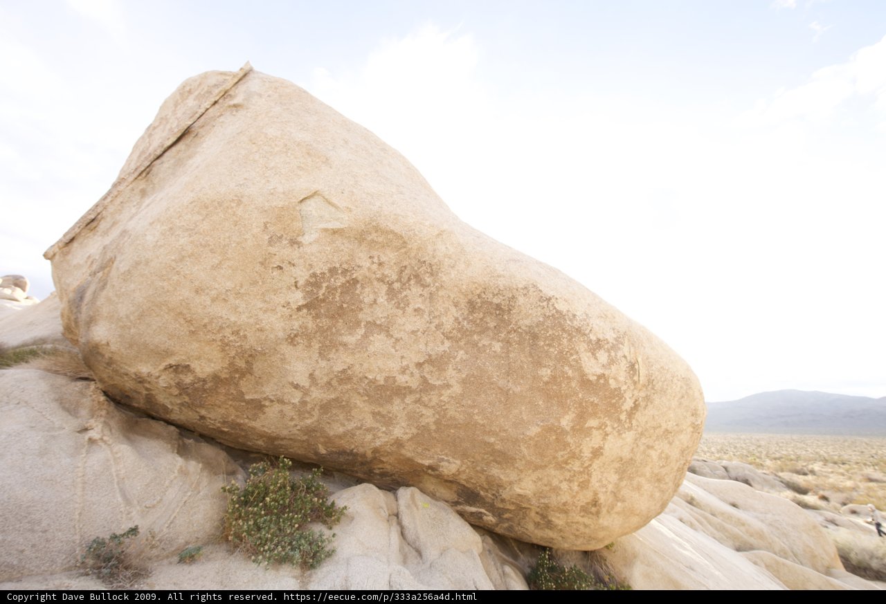 Standing Tall on the Mighty Rock