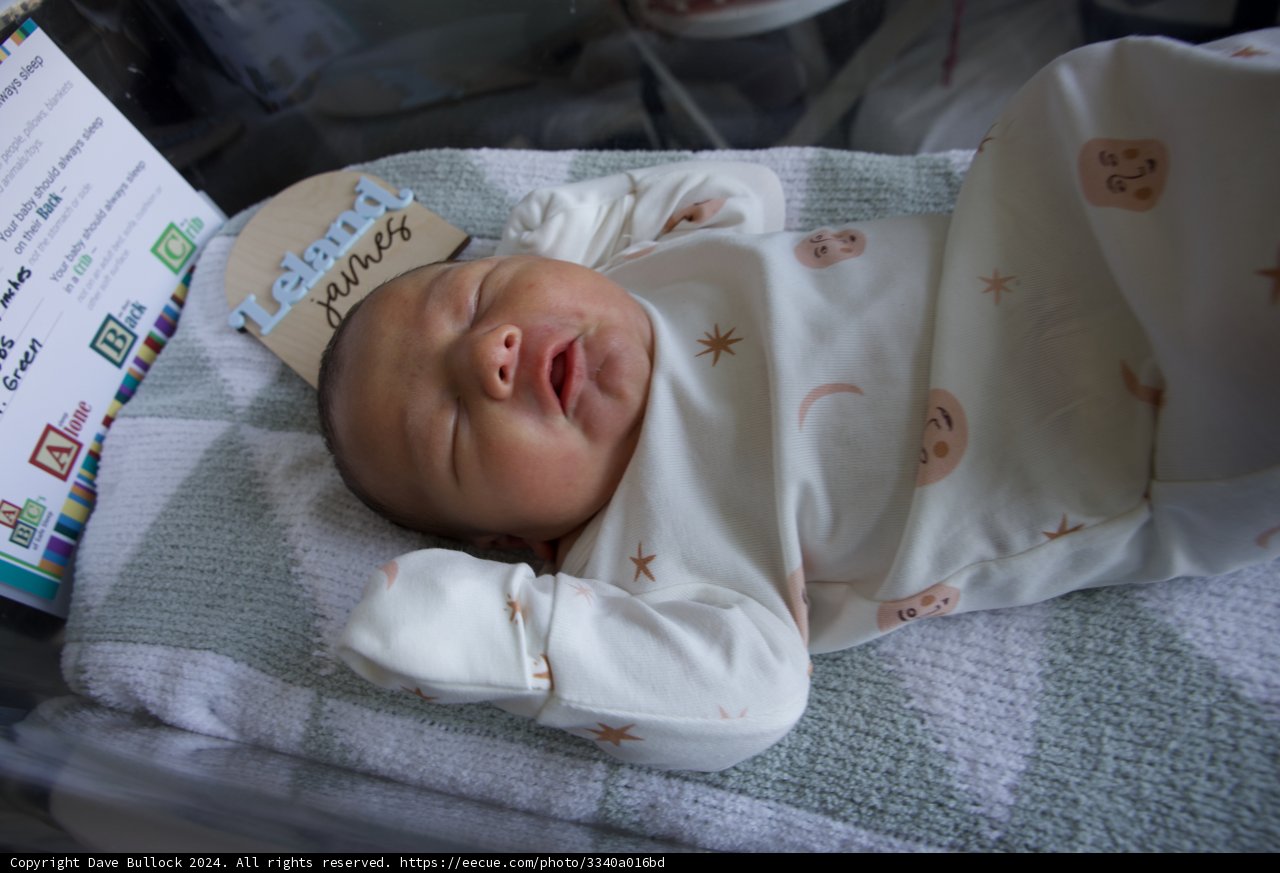 Welcome to the World, Leland