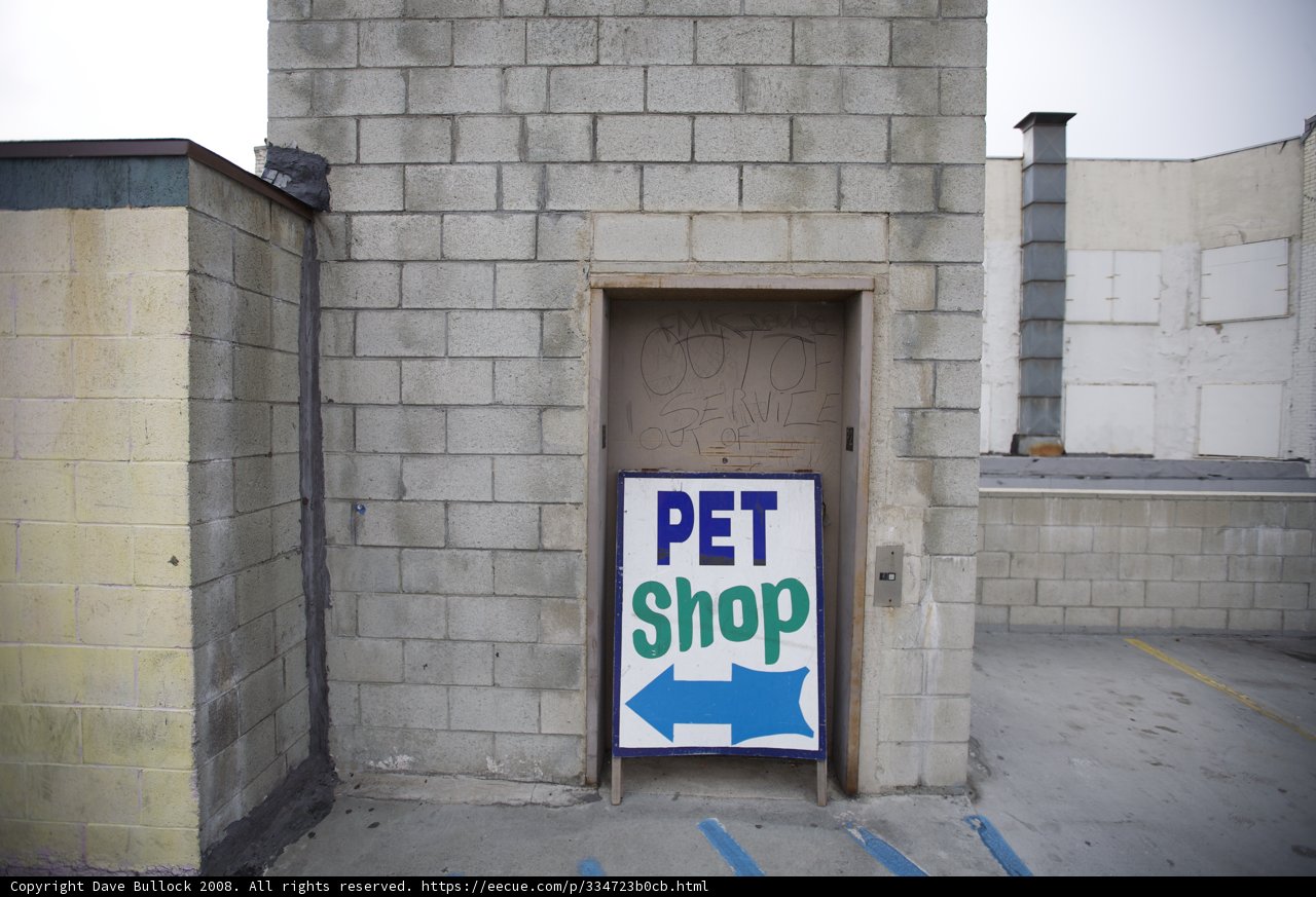 Pet Shop Haven