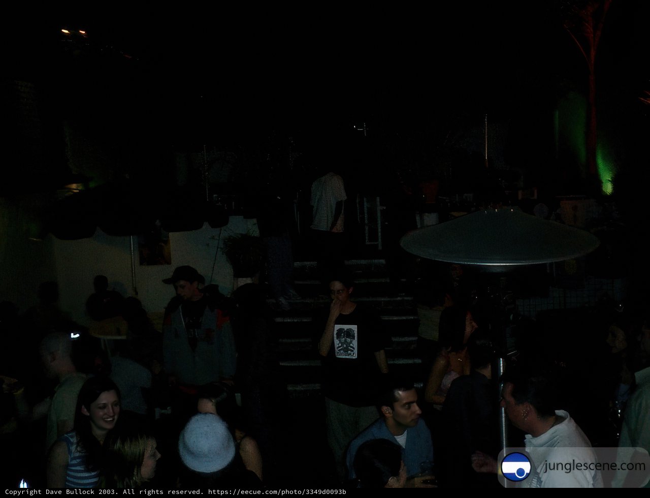 Night Club Gathering