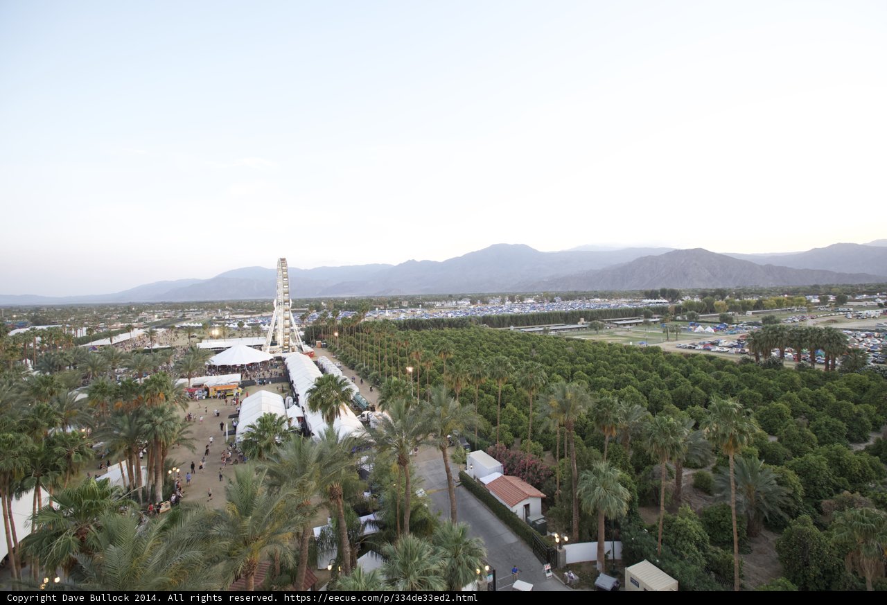 Oasis in the Desert