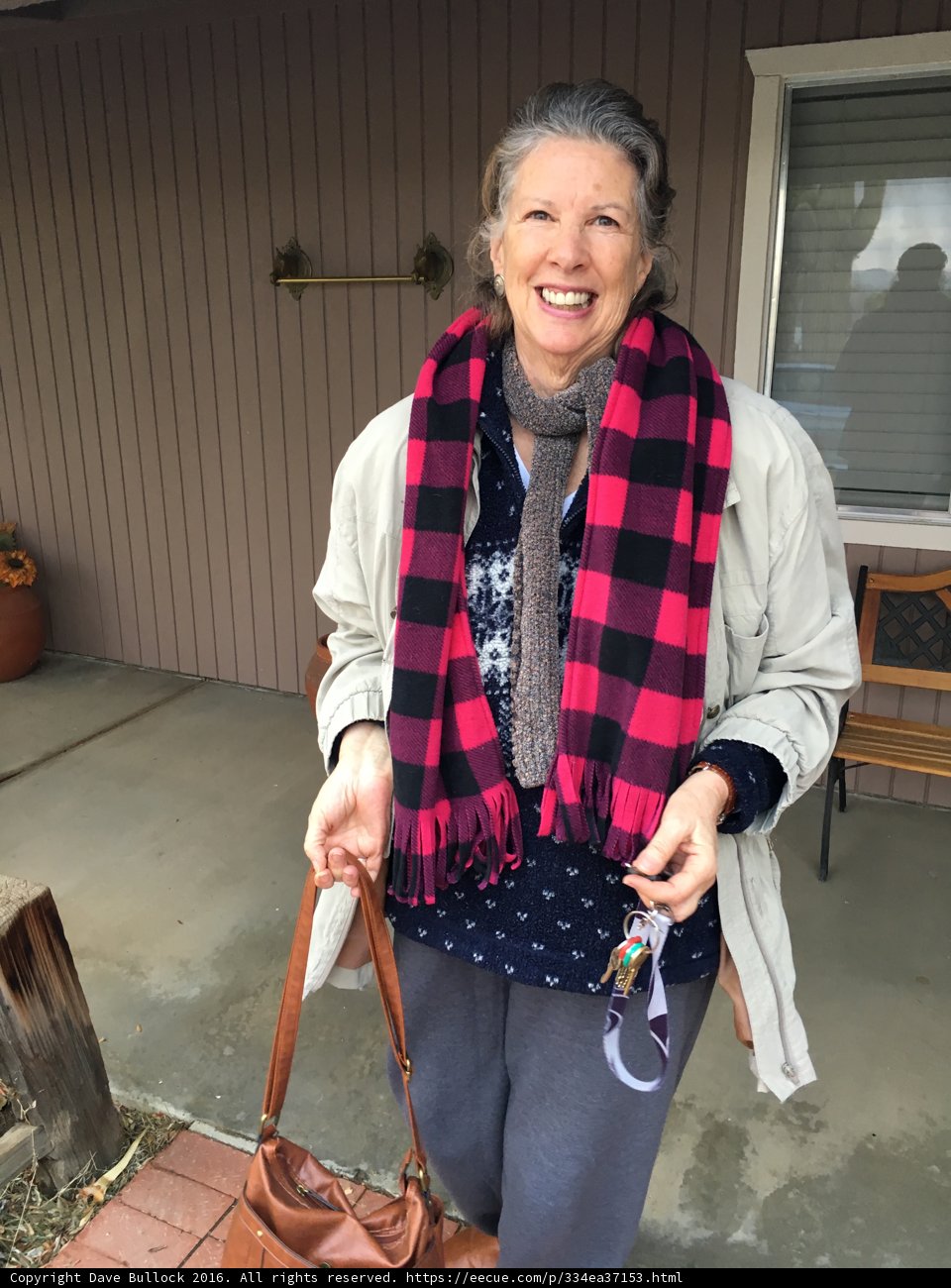 A Fashionable Handbag and Plaid Scarf