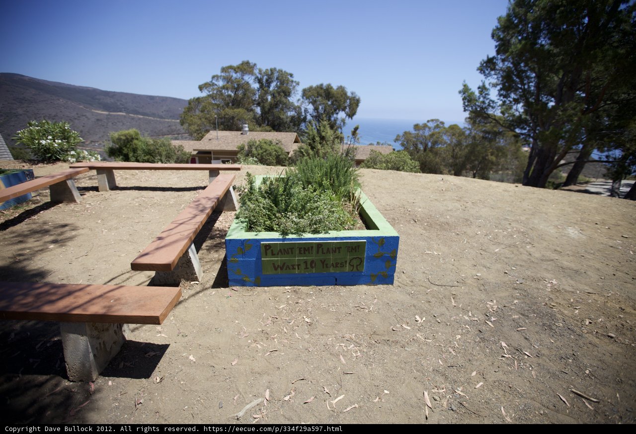 Rustic Bench and Planter in Nature