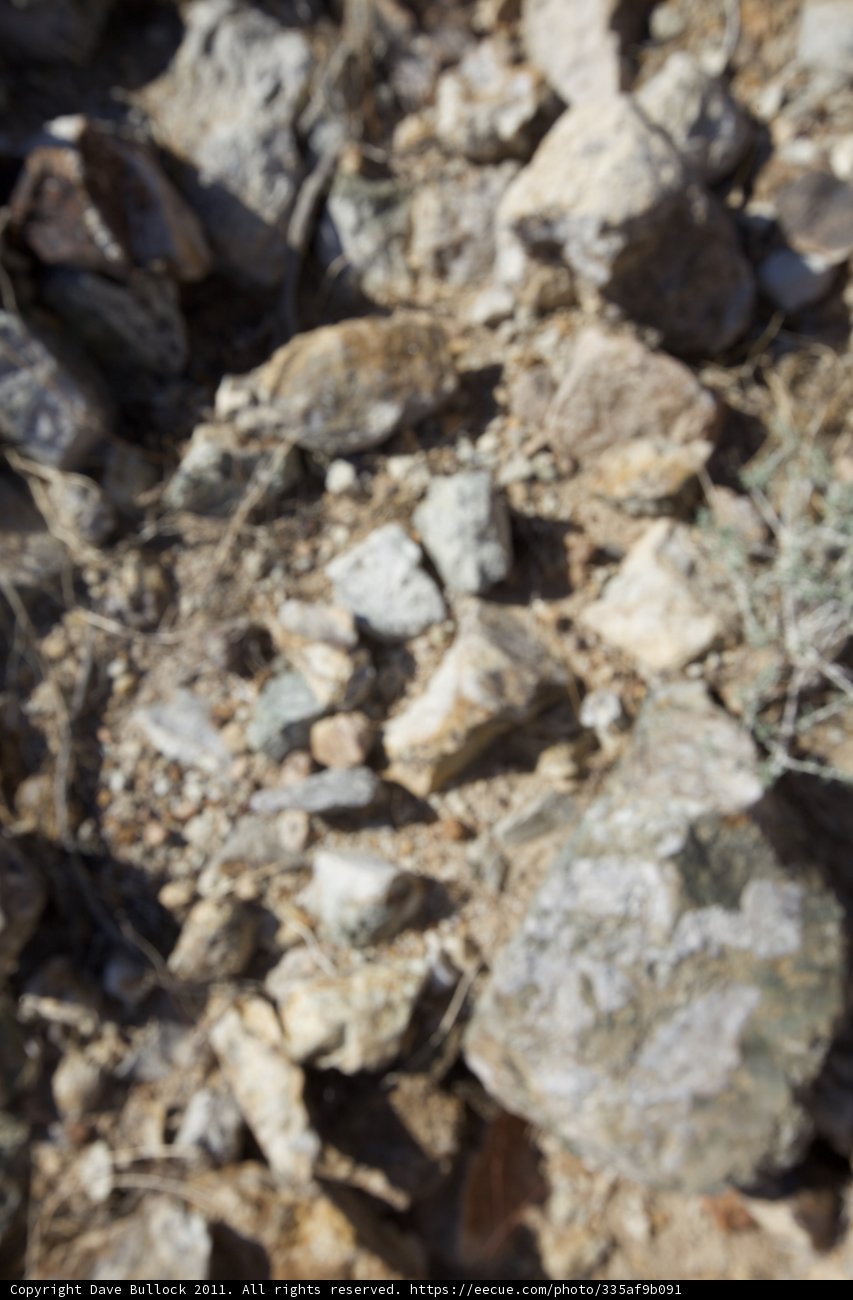 Desert Ground