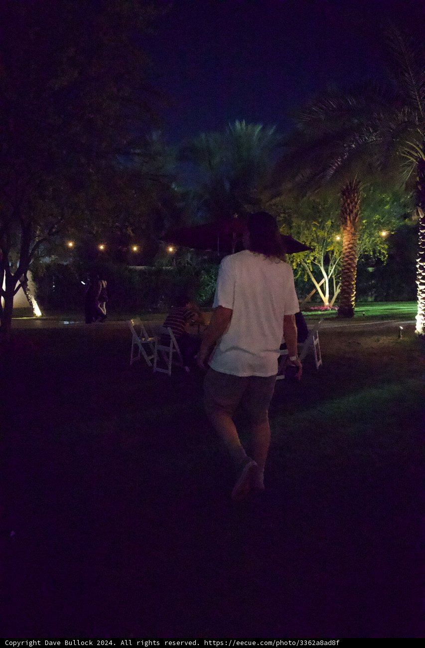 Moonlit Stroll: A Night at Coachella 2024