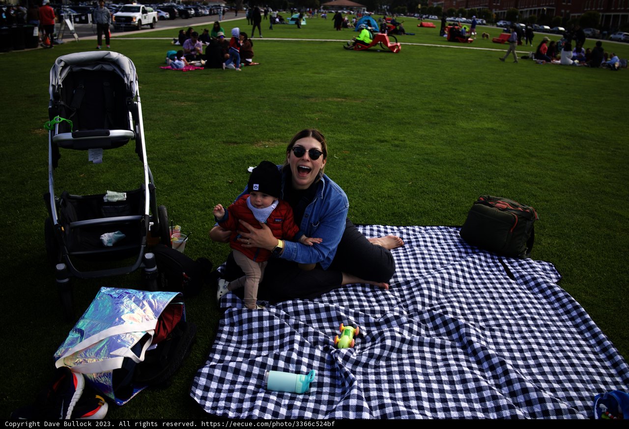 Summer Serenity in Presidio Park