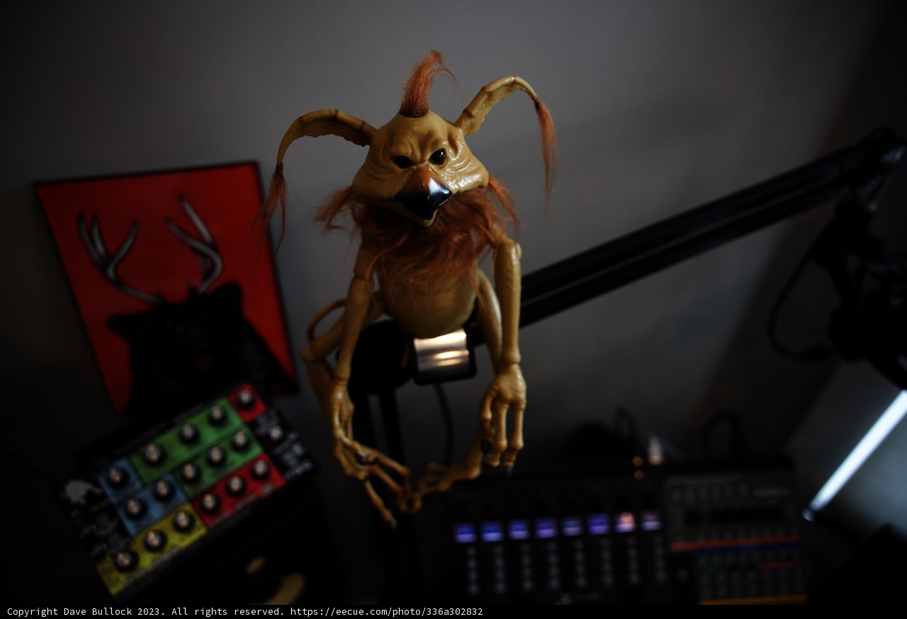 Furry Companion on Air