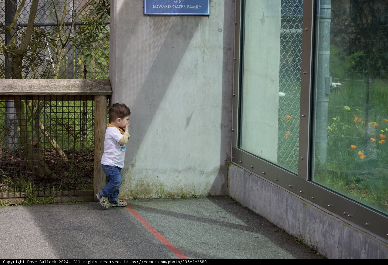 Urban Adventure in San Francisco Zoo