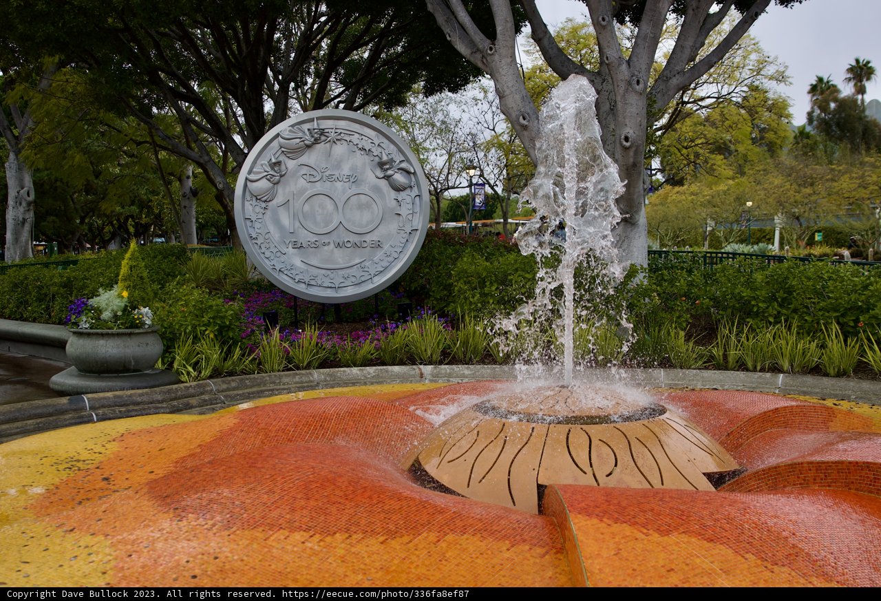 The Coin Fountain