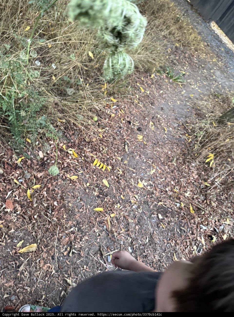 Exploring Nature's Pathway