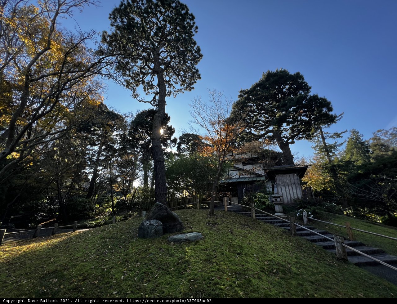 Serene Japanese Tea Garden
