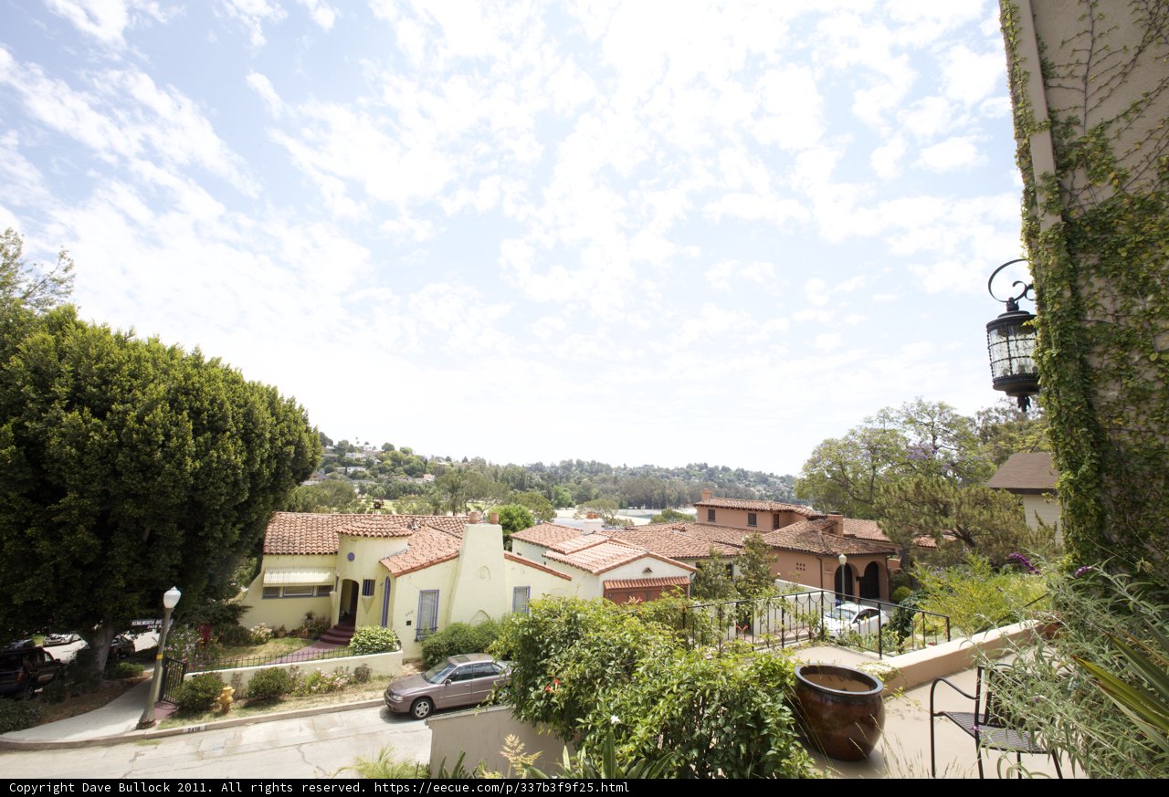 View of the Neighborhood from the Rooftop Garden