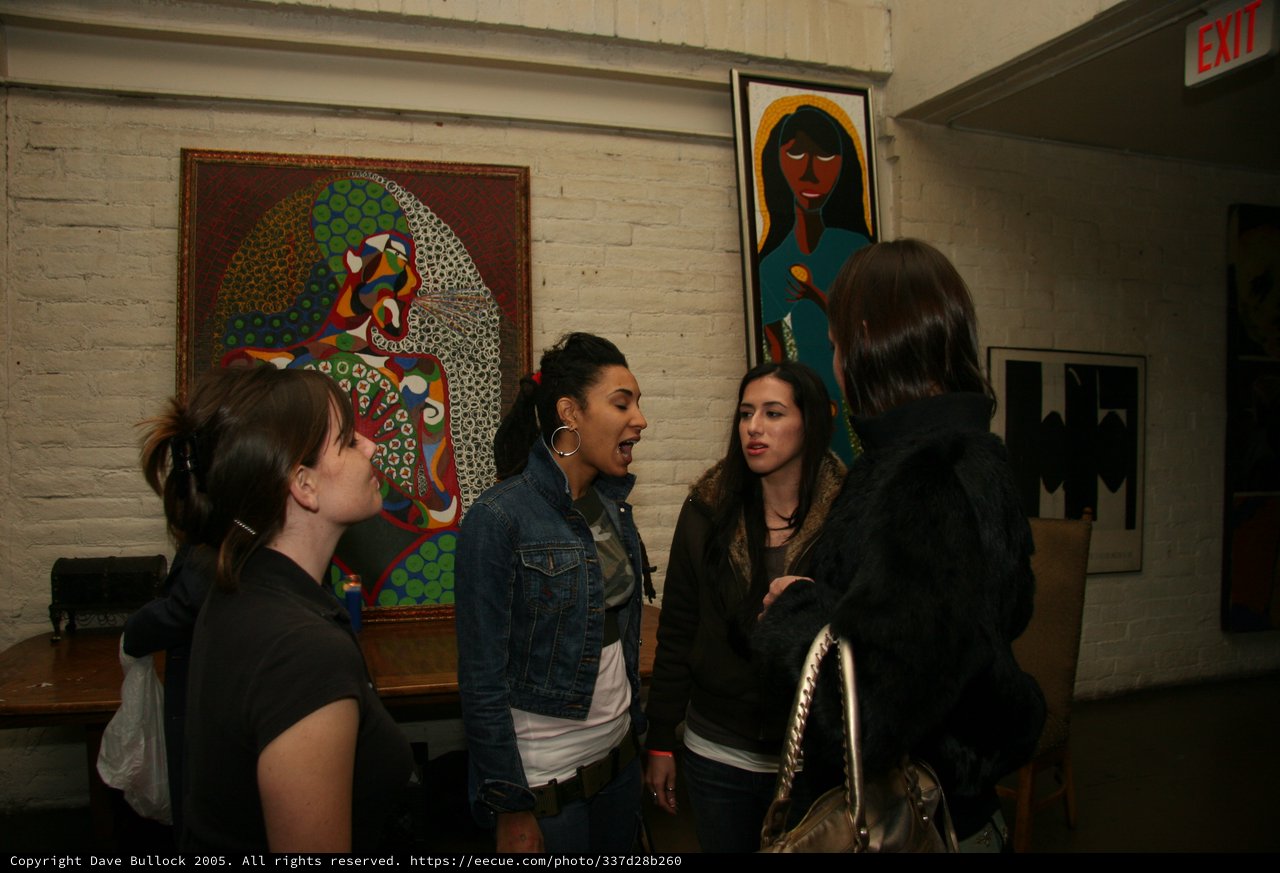 Friends Conversing at an Art Gallery Opening Night