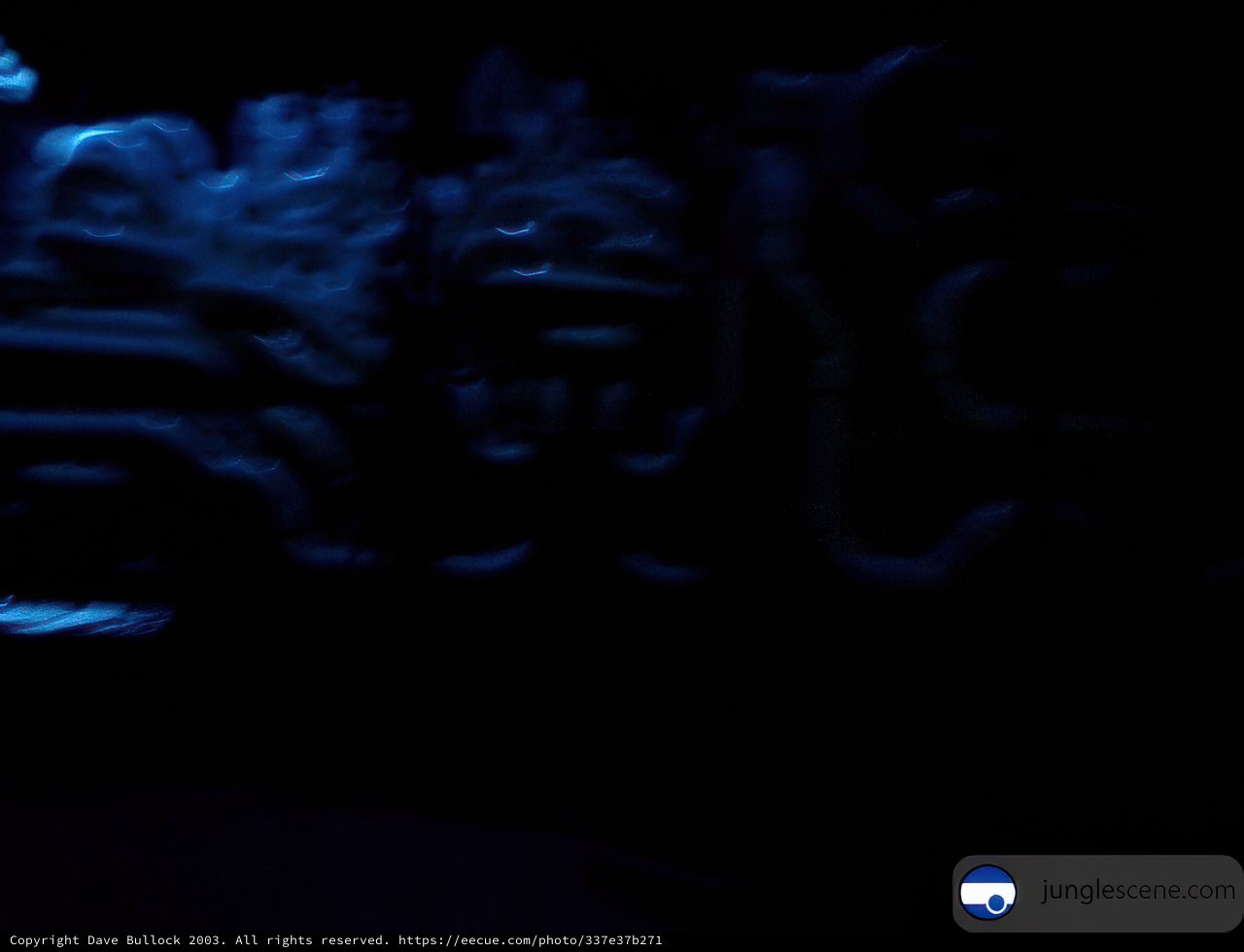 Blue Light on Black Background