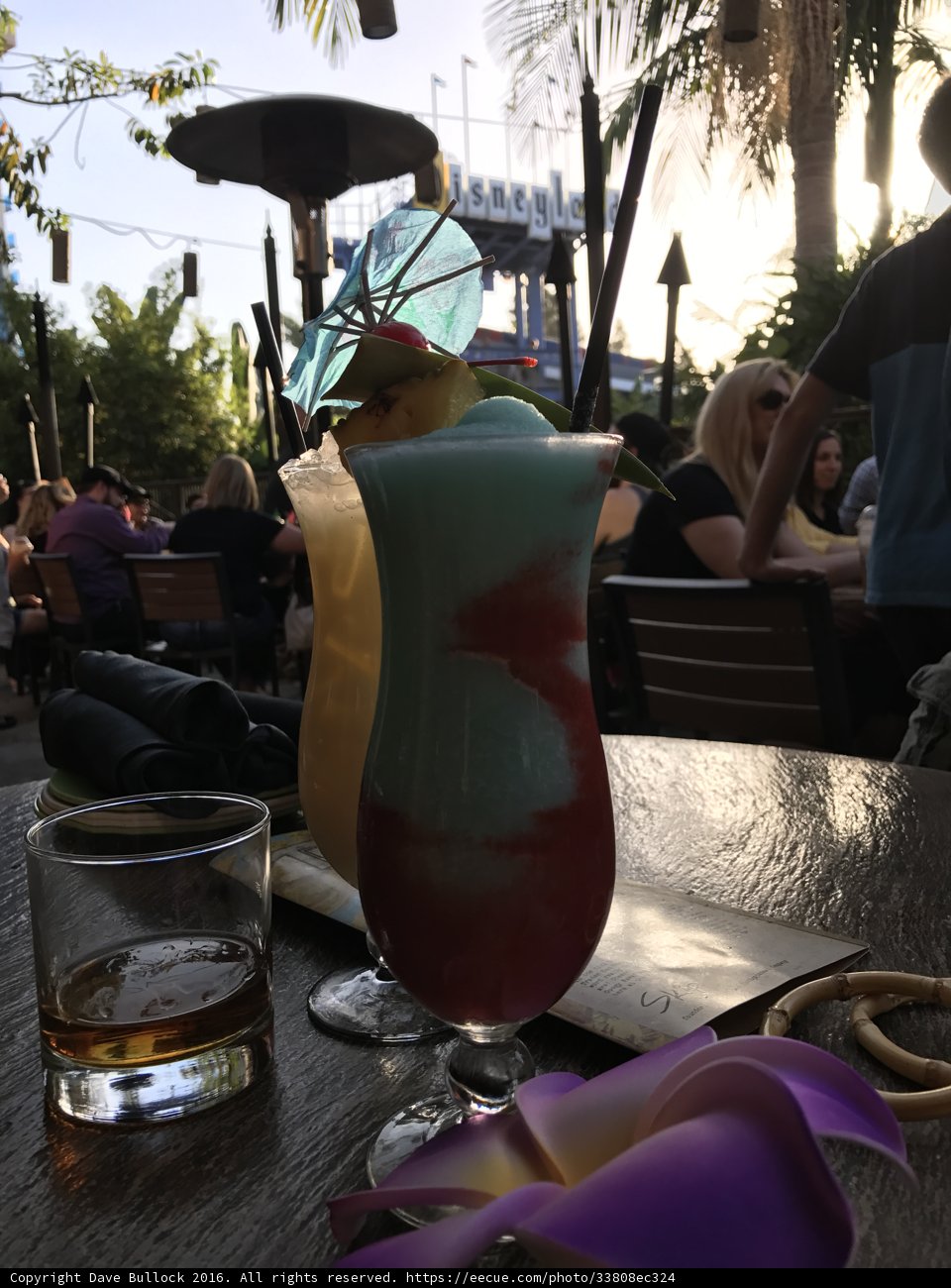 Colorful Vase and Drinks at the Disneyland Hotel