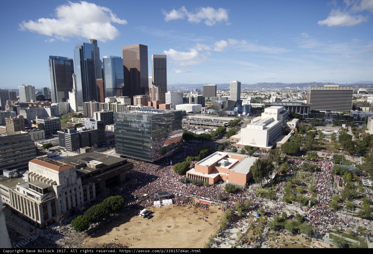 Women's March in the Metropolis