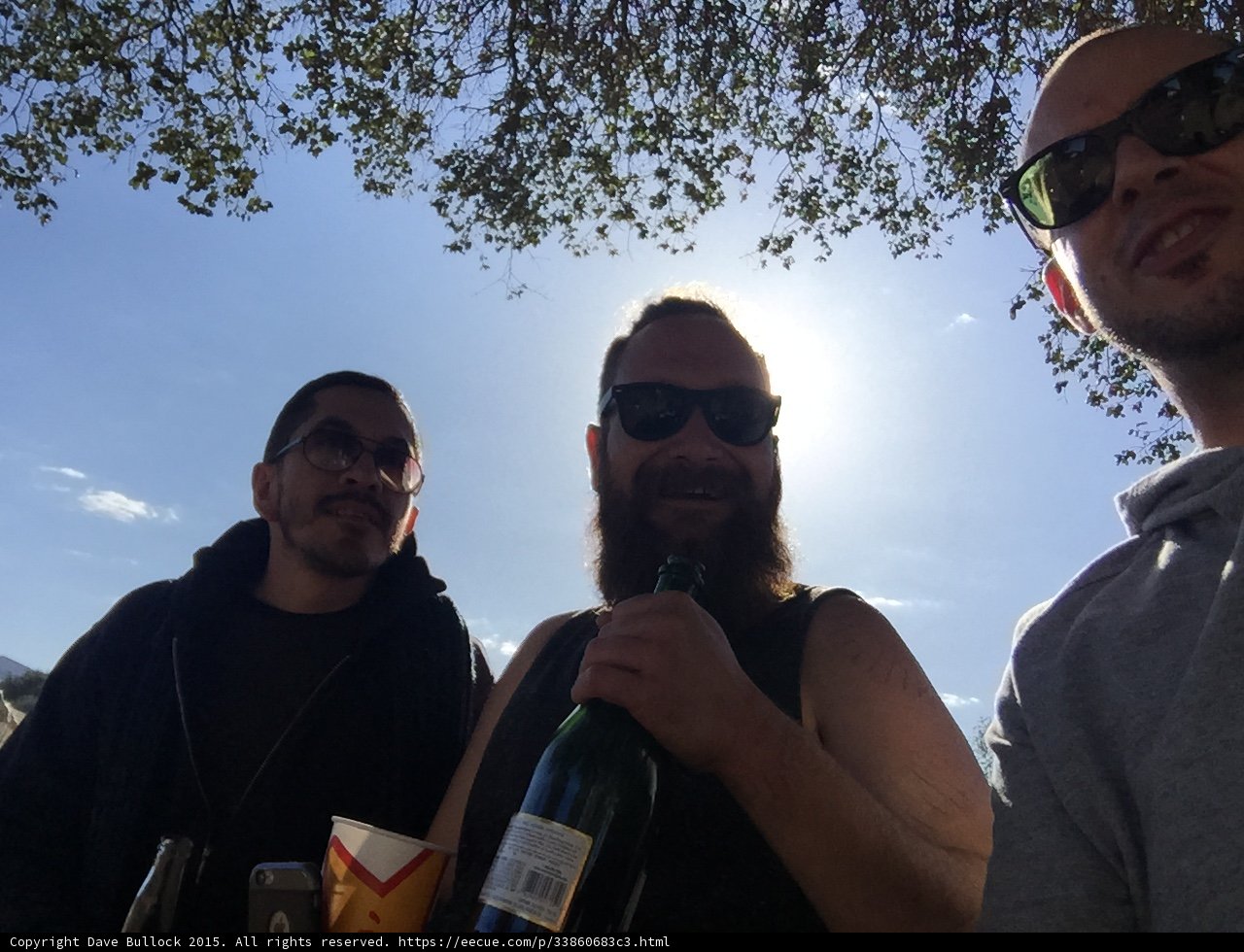 Cheers to the Sun
