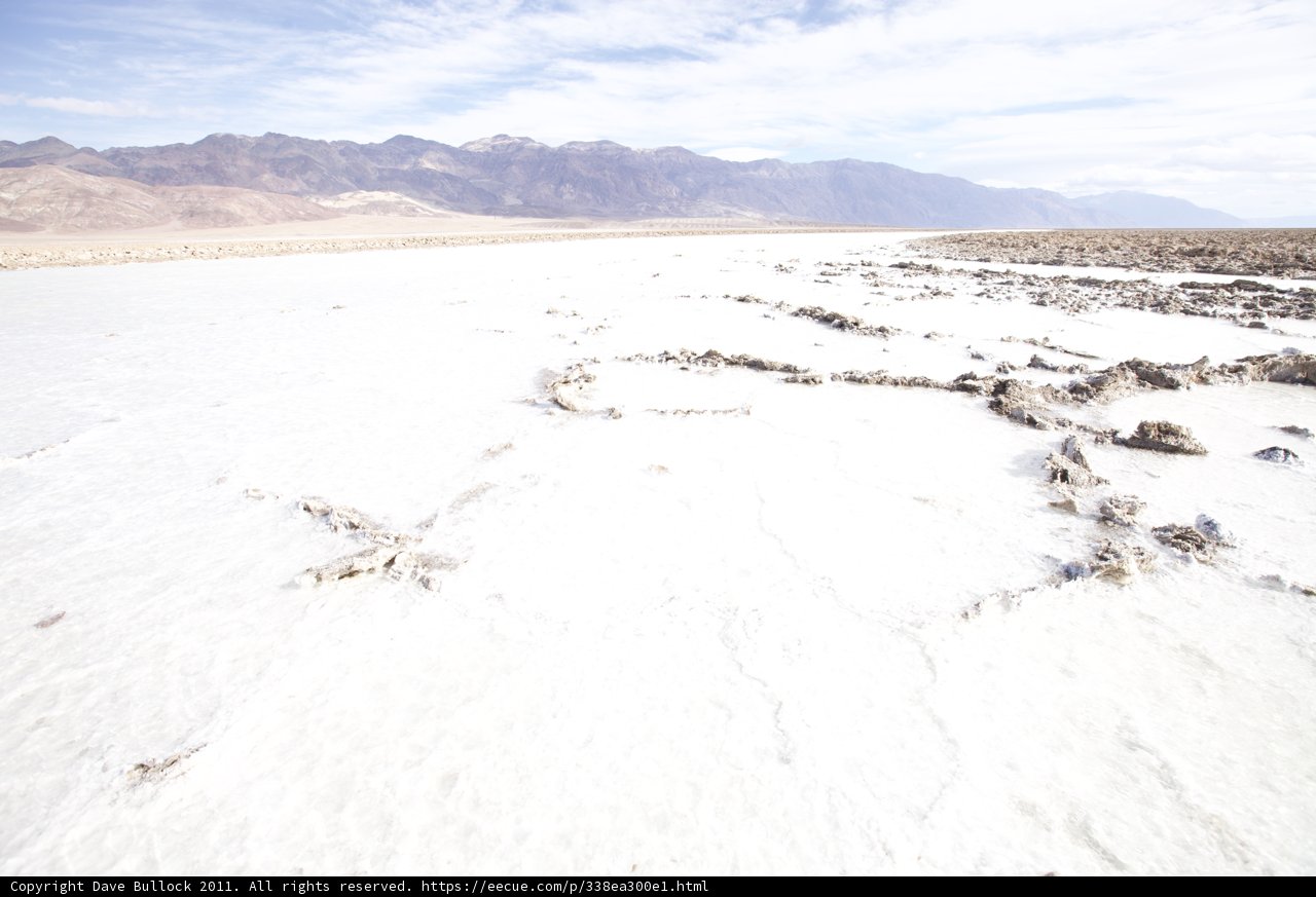 Oasis in the Frozen Desert