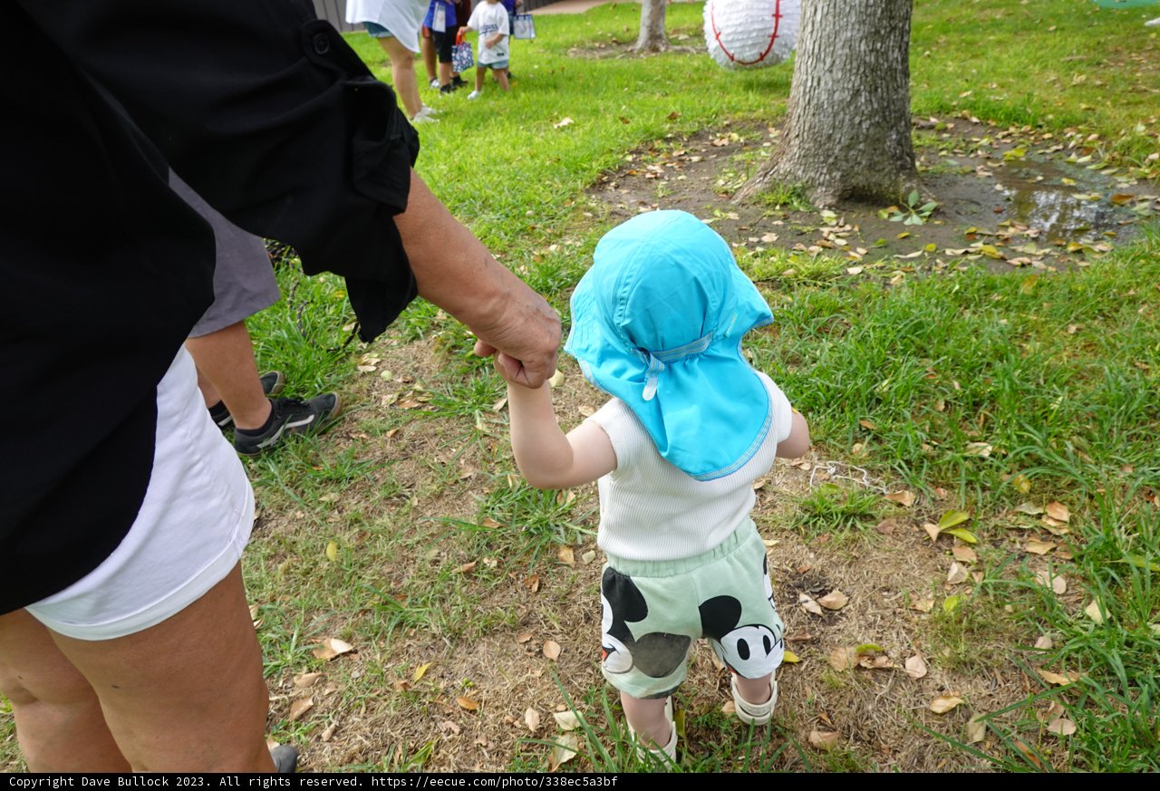 Innocence Held in Trust: A Stroll in the Park