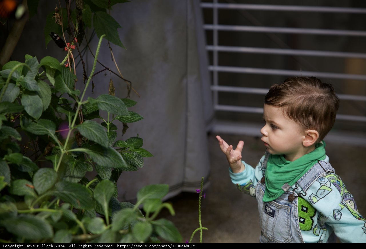 The Curiosity of Youth: A Glimpse of Nature's Wonder