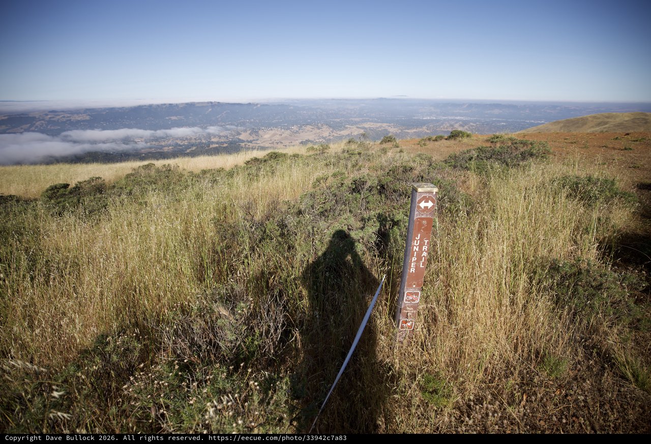 Juniper Trail Marker Atop Mount Diablo's Golden Slopes