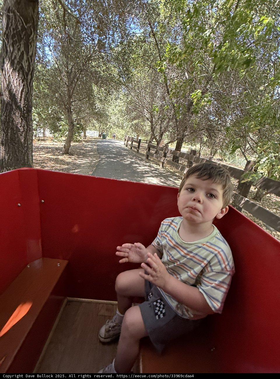 A Moment in the Grove