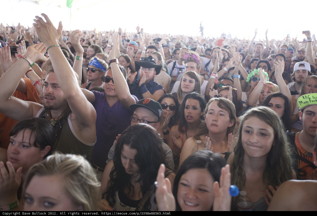 Hands Up in the Crowd