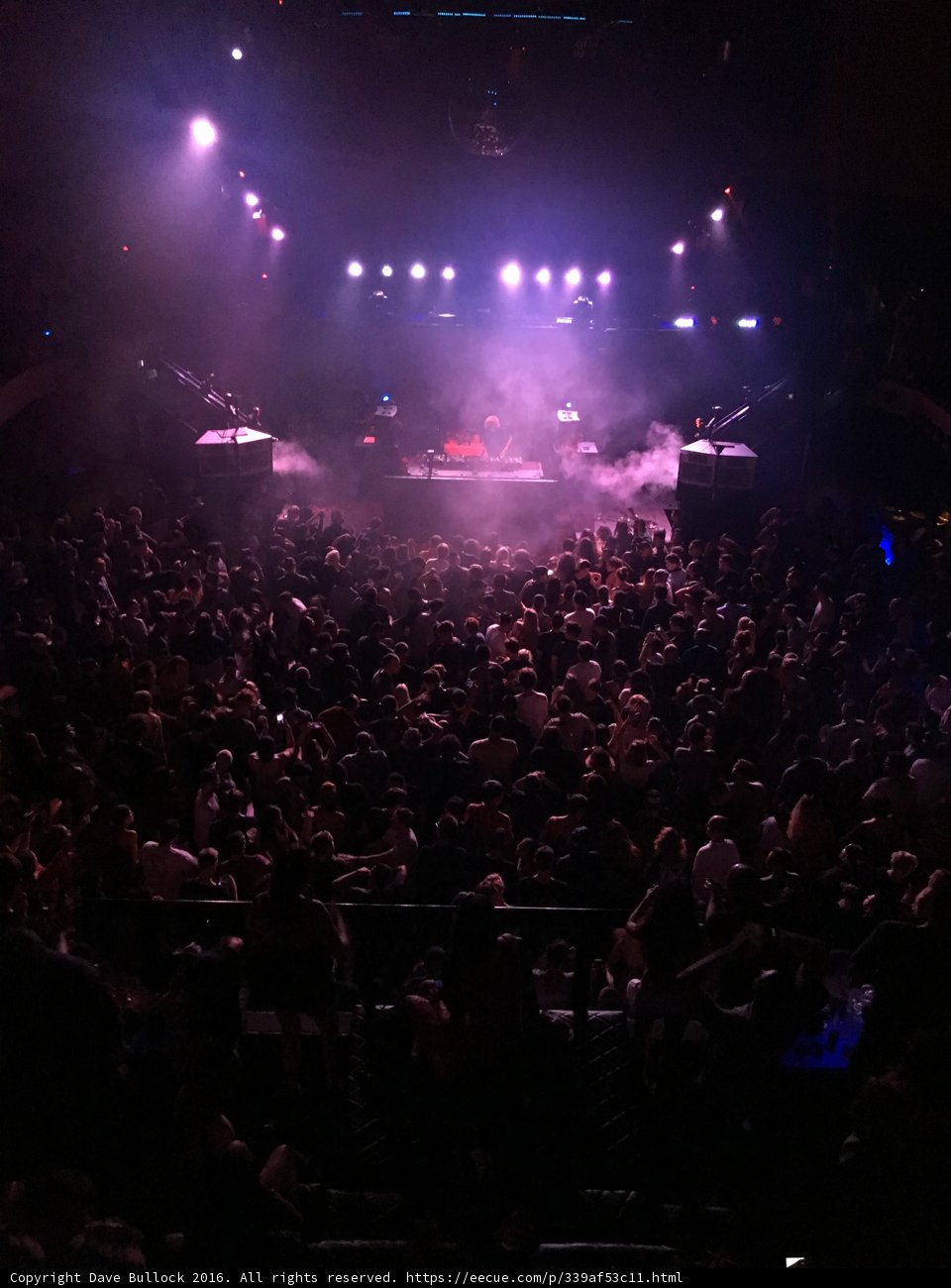 Electric Nights in LA