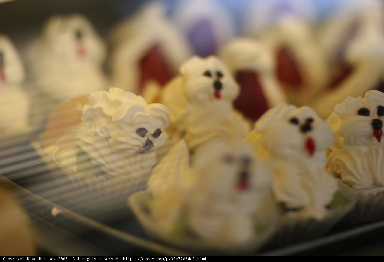 Canine Cupcakes