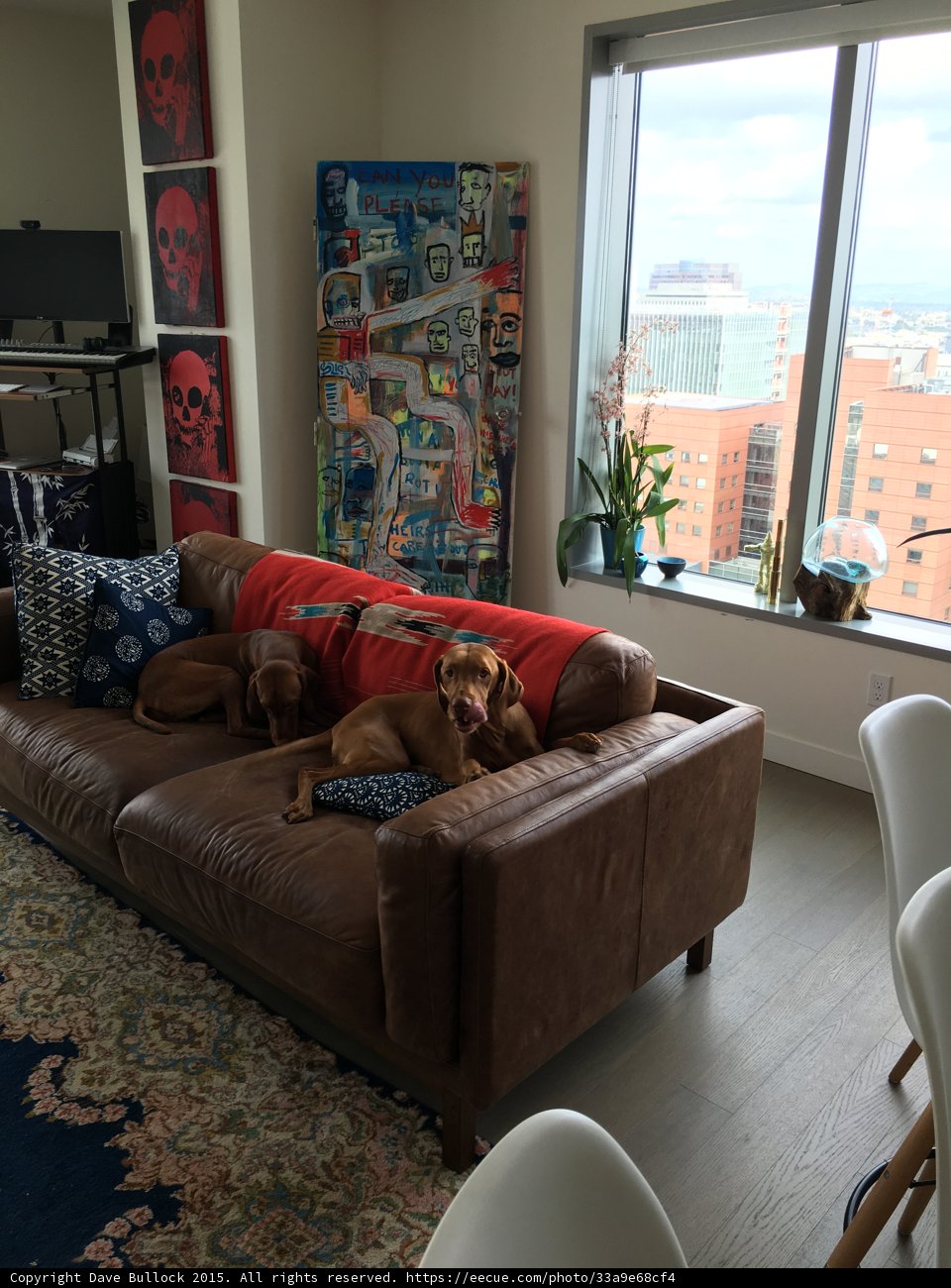 Cozy Brown Leather Couch in a Chic Living Room
