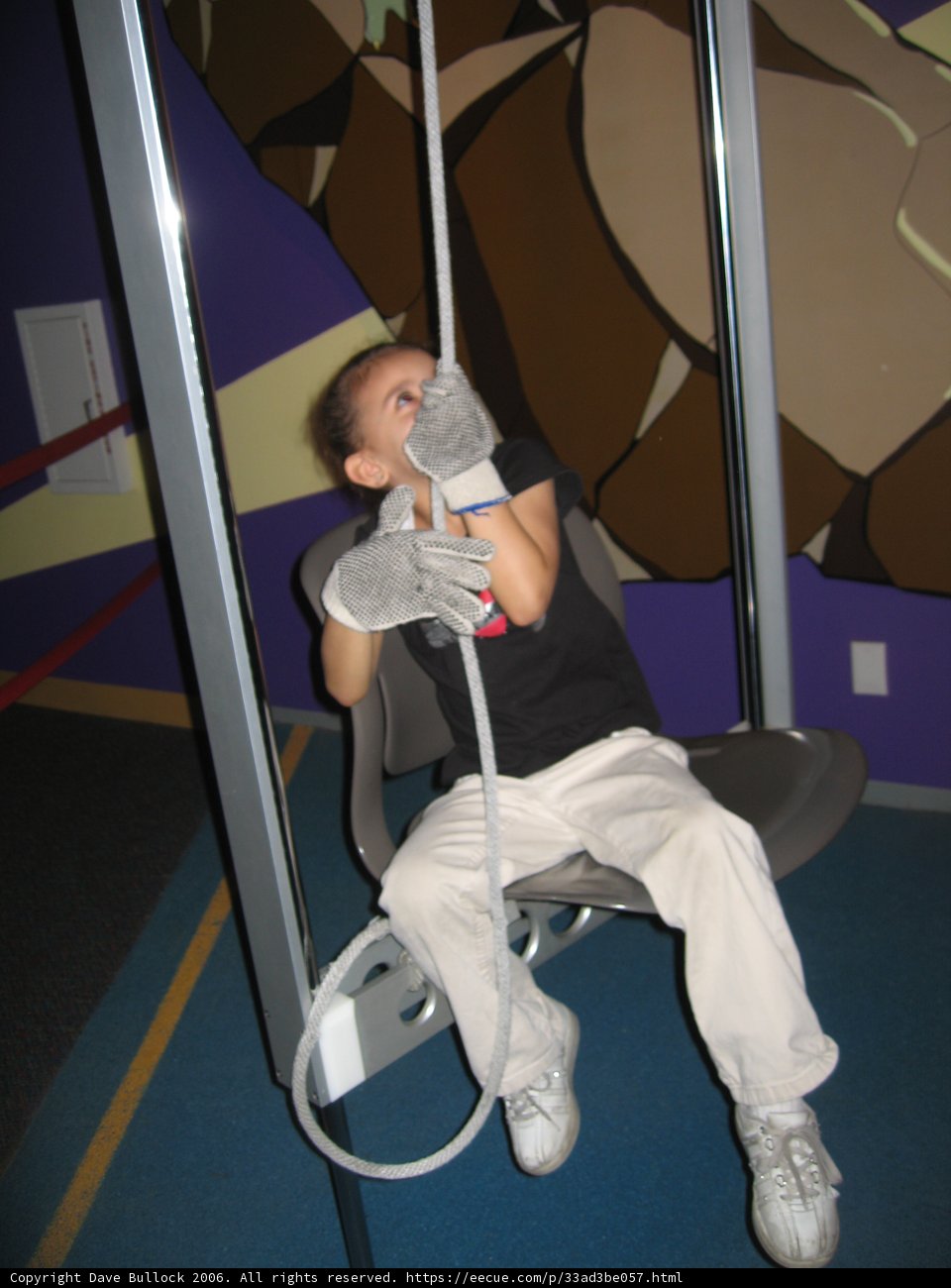 Swingin' Shoes
