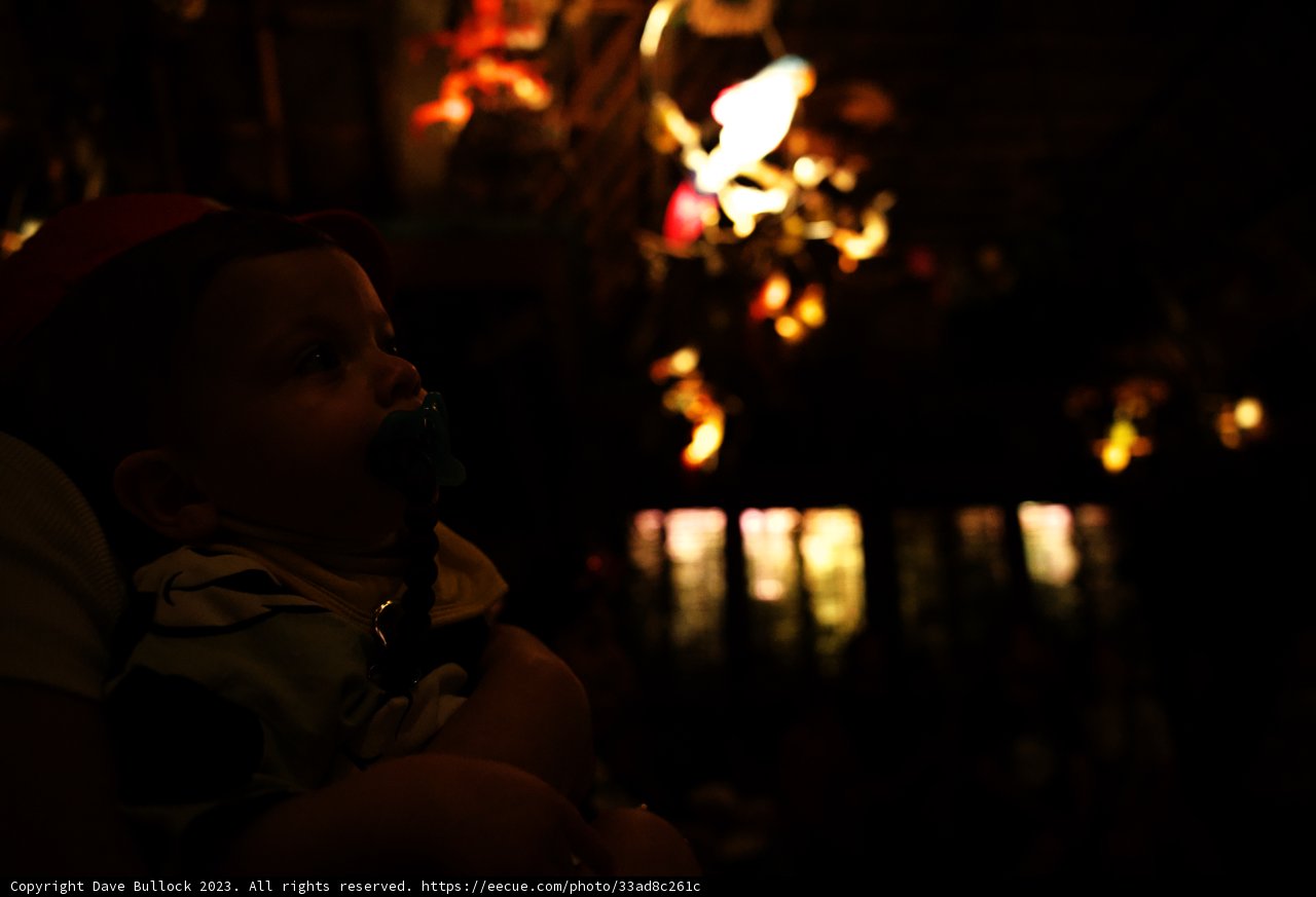 A Magical Night at Disneyland with Baby Wes