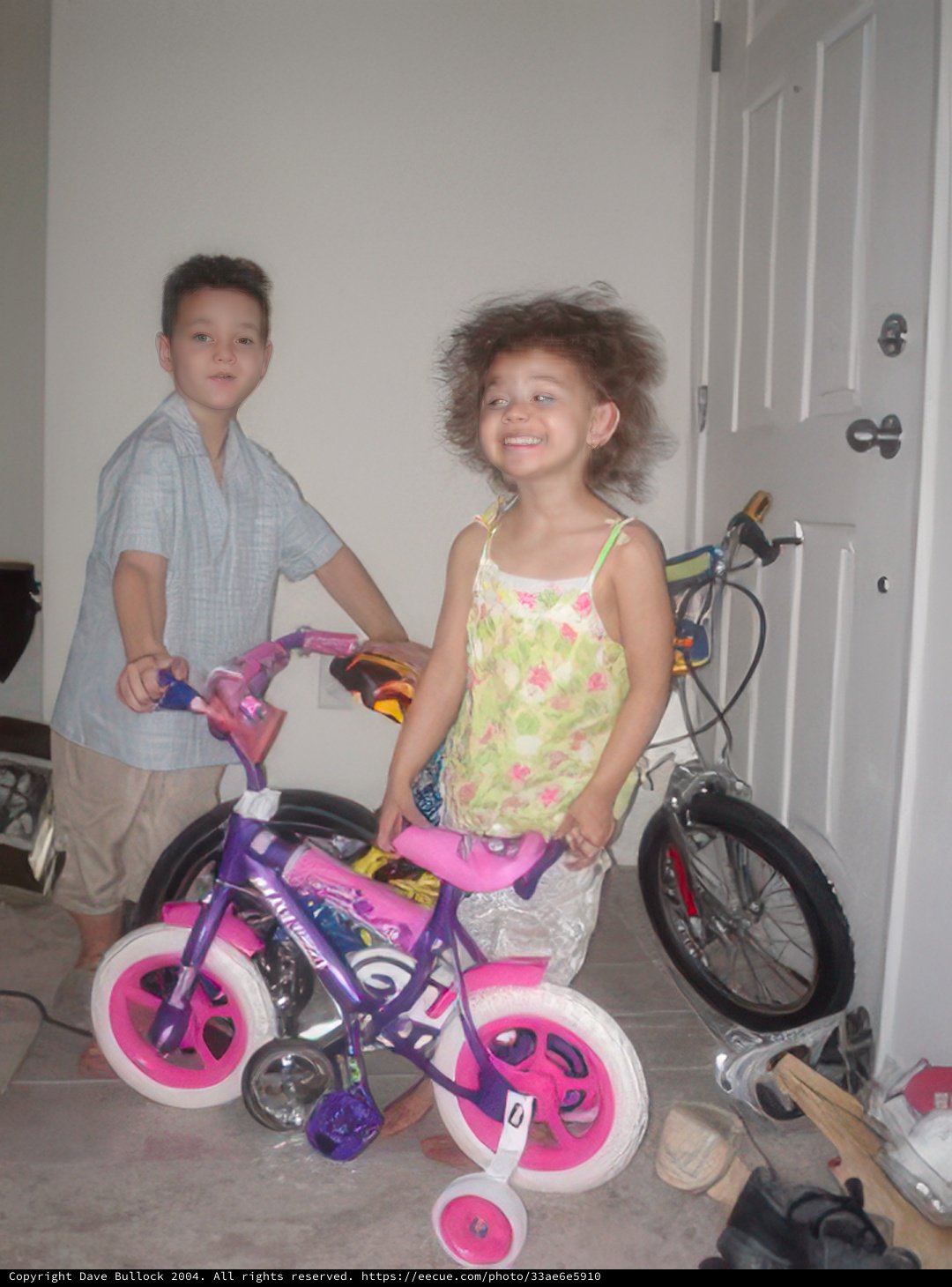 Bike Buddies