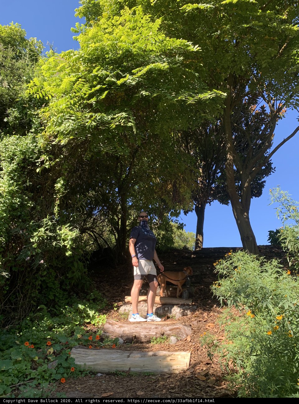 A Moment in Golden Gate Park