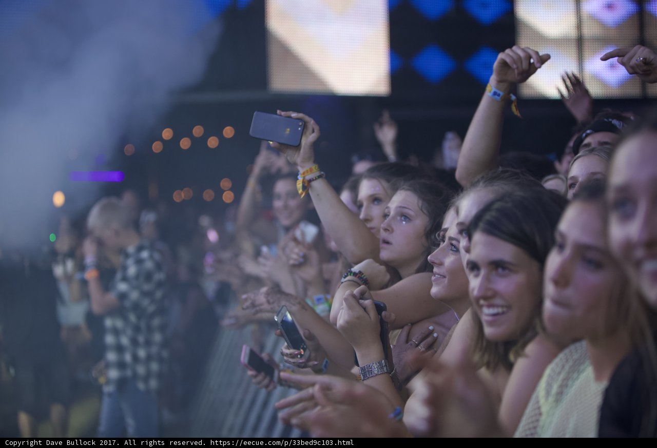Coachella 2017: The Electric Crowd