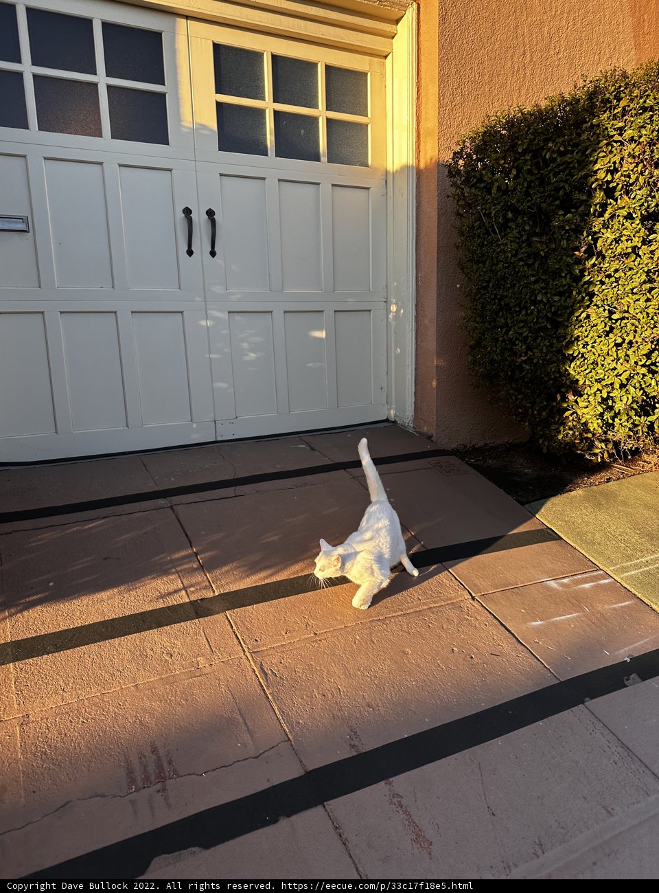 Strolling down the Flagstone Sidewalk