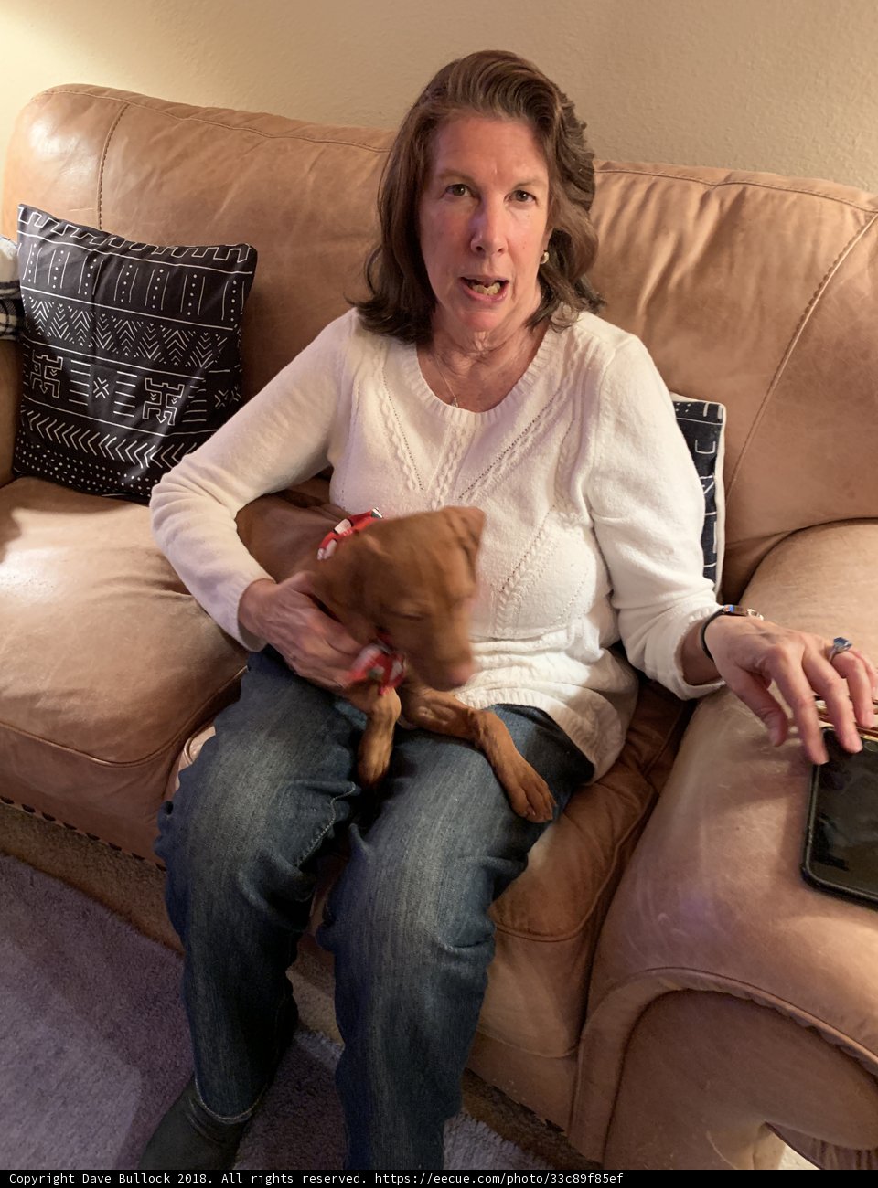 Cozy afternoon on the couch with my furry friend